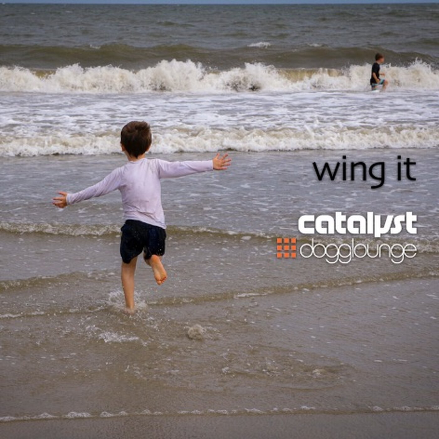 catalyst: dl144 – wing it