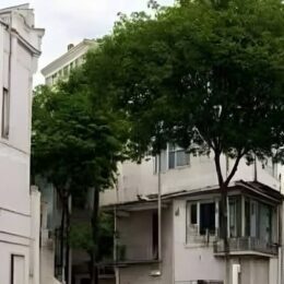 Profile picture of Simon Evans